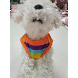 ペット用タンクトップ ペットウェア 犬服 | PlusNao | 詳細画像7