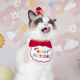 ペット 誕生日 スタイ | PlusNao | 詳細画像5 