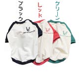 ドッグウェア ペットウェア ラウンドネック | PlusNao | 詳細画像15 