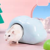 セラミックハウス 小動物用品 ハムスター用 | PlusNao | 詳細画像4