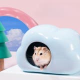 セラミックハウス 小動物用品 ハムスター用 | PlusNao | 詳細画像5