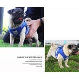 ハーネス リード 2点セット | PlusNao | 詳細画像2 