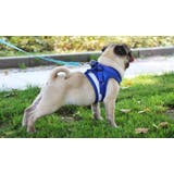 ハーネス リード 2点セット | PlusNao | 詳細画像3 