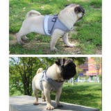 ハーネス リード 2点セット | PlusNao | 詳細画像4 