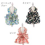 ハーネス リード 2点セット | PlusNao | 詳細画像14