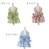 ハーネス リード 2点セット | PlusNao | 詳細画像15