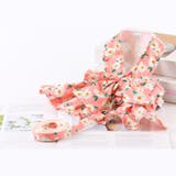 ハーネス リード 2点セット | PlusNao | 詳細画像2