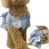 ハーネス リード 2点セット | PlusNao | 詳細画像6