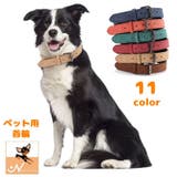 首輪 カラー 単品 | PlusNao | 詳細画像1