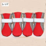 犬用靴 ドッグシューズ ペットシューズ | PlusNao | 詳細画像6