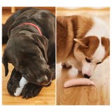 犬用おもちゃ 噛むオモチャ 噛んで歯磨き | PlusNao | 詳細画像3 