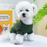 ペットウェア セーター ニット | PlusNao | 詳細画像4