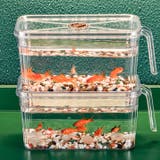 ミニ水槽 金魚鉢 単品 | PlusNao | 詳細画像15