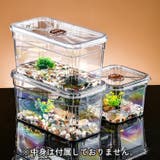 ミニ水槽 金魚鉢 単品 | PlusNao | 詳細画像4