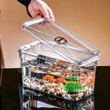 ミニ水槽 金魚鉢 単品 | PlusNao | 詳細画像5