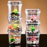 ミニ水槽 金魚鉢 単品 | PlusNao | 詳細画像6