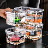 ミニ水槽 金魚鉢 単品 | PlusNao | 詳細画像7