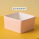 小動物用食器 フードボウル 置き型 | PlusNao | 詳細画像13 