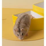 小動物用食器 フードボウル 置き型 | PlusNao | 詳細画像3 