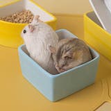 小動物用食器 フードボウル 置き型 | PlusNao | 詳細画像4 