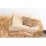 ハムスター用 おもちゃ シーソー | PlusNao | 詳細画像6 