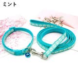 首輪 リード 2点セット | PlusNao | 詳細画像16 