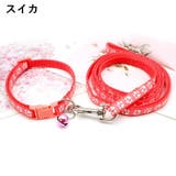 首輪 リード 2点セット | PlusNao | 詳細画像17 