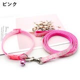 首輪 リード 2点セット | PlusNao | 詳細画像7 