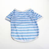 ペットウェア ドッグウエア Tシャツ | PlusNao | 詳細画像10 