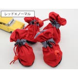 ドッグシューズ レインブーツ レインシューズ | PlusNao | 詳細画像5