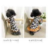 ペットウェア ドッグウェア 犬服 | PlusNao | 詳細画像14