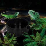 小動物用食器 爬虫類用品 両生類 | PlusNao | 詳細画像2 