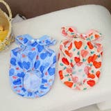 ドッグウェア キャットウェア ペットウェア | PlusNao | 詳細画像5