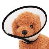 エリザベスカラー 犬用 猫用 | PlusNao | 詳細画像4