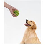おやつボール 犬用 いぬ | PlusNao | 詳細画像2 