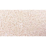 ペット用ランチョンマット フードマット フードボウルマット | PlusNao | 詳細画像11 