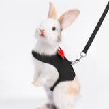 ペットウェア 小動物ハーネス リード | PlusNao | 詳細画像3