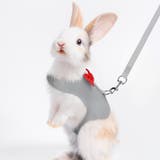 ペットウェア 小動物ハーネス リード | PlusNao | 詳細画像4