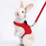 ペットウェア 小動物ハーネス リード | PlusNao | 詳細画像5