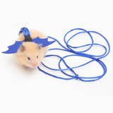 ハムスター用ハーネスリード ペット用品 小動物 | PlusNao | 詳細画像3 