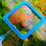 フィーダーカップ 餌入れ フード枠 | PlusNao | 詳細画像3 
