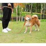 リード 反射材 犬用 | PlusNao | 詳細画像2 