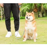 リード 反射材 犬用 | PlusNao | 詳細画像3 