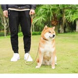 リード 反射材 犬用 | PlusNao | 詳細画像4 
