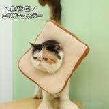 エリザベスカラー 猫用 犬用 | PlusNao | 詳細画像1 