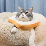 エリザベスカラー 猫用 犬用 | PlusNao | 詳細画像3 