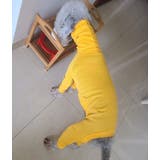 ドッグウェア ロンパース イタリアン | PlusNao | 詳細画像12