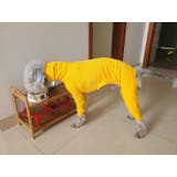 ドッグウェア ロンパース イタリアン | PlusNao | 詳細画像4