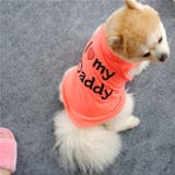 ペットウエア 犬の服 犬服 | PlusNao | 詳細画像5