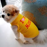 ペットウエア 犬の服 犬服 | PlusNao | 詳細画像6